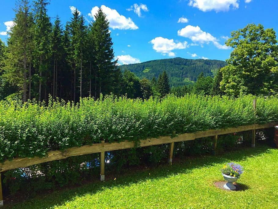 Stadtzentrum Mariazell Dış mekan fotoğraf